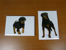 lot 2 Magnets / aimants 7,8 cm X 5,3 cm CHIENS CHIOTS : ROTTWEILER 19/20