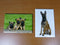 lot 2 Magnets / aimant 7,8 cm X 5,3 cm CHIENS CHIOTS MALINOIS berger belge 16/17