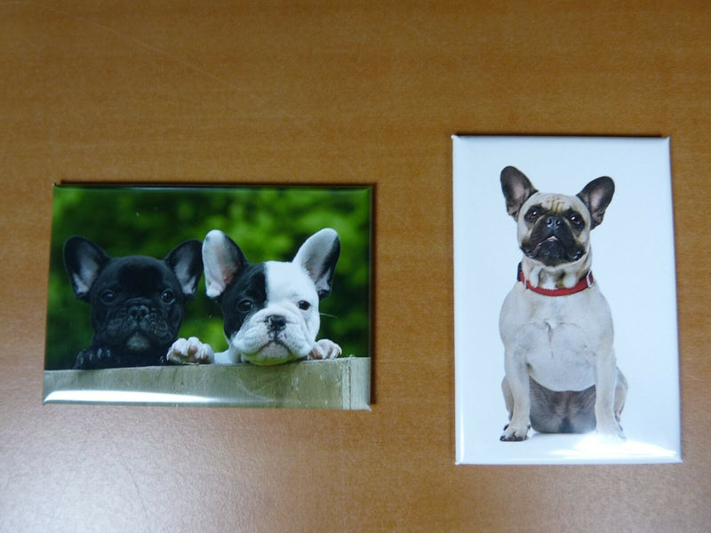 lot 2 Magnets  aimant 7,8 cm X 5,3 cm CHIENS CHIOTS : BOULEDOGUE FRANCAIS 1/2