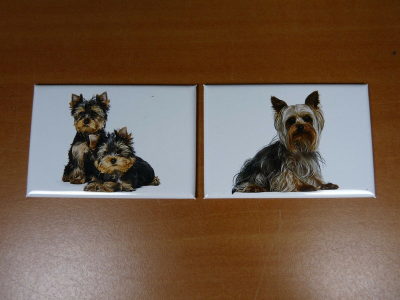 lot 2 Magnets / aimants 7,8 cm X 5,3 cm CHIENS : Yorkshire 23/24