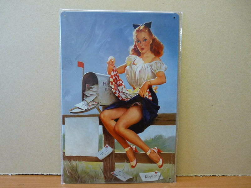 PA6 PLAQUES TOLEE vintage 20 X 30 cm : Pin'up : courrier boîte aux lettres