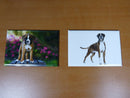 lot 2 Magnets / aimants 7,8 cm X 5,3 cm CHIENS CHIOTS : BOXER 5/6