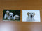 lot 2 Magnets  aimant 7,8 cm X 5,3 cm CHIENS CHIOTS : LABRADOR 15/16